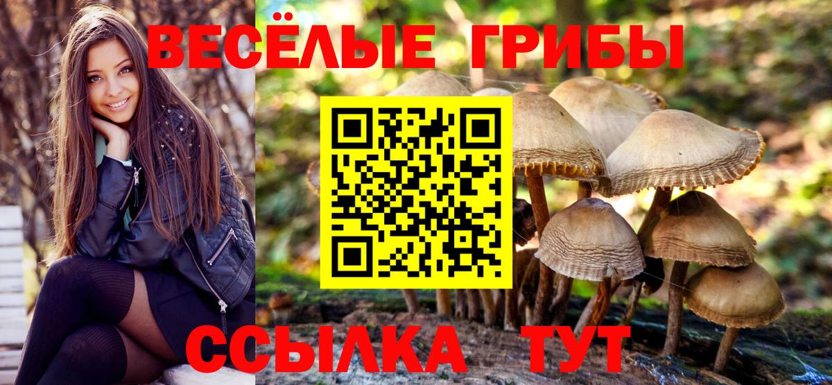 Галлюциногенные грибы Magic Shrooms Камень-на-Оби