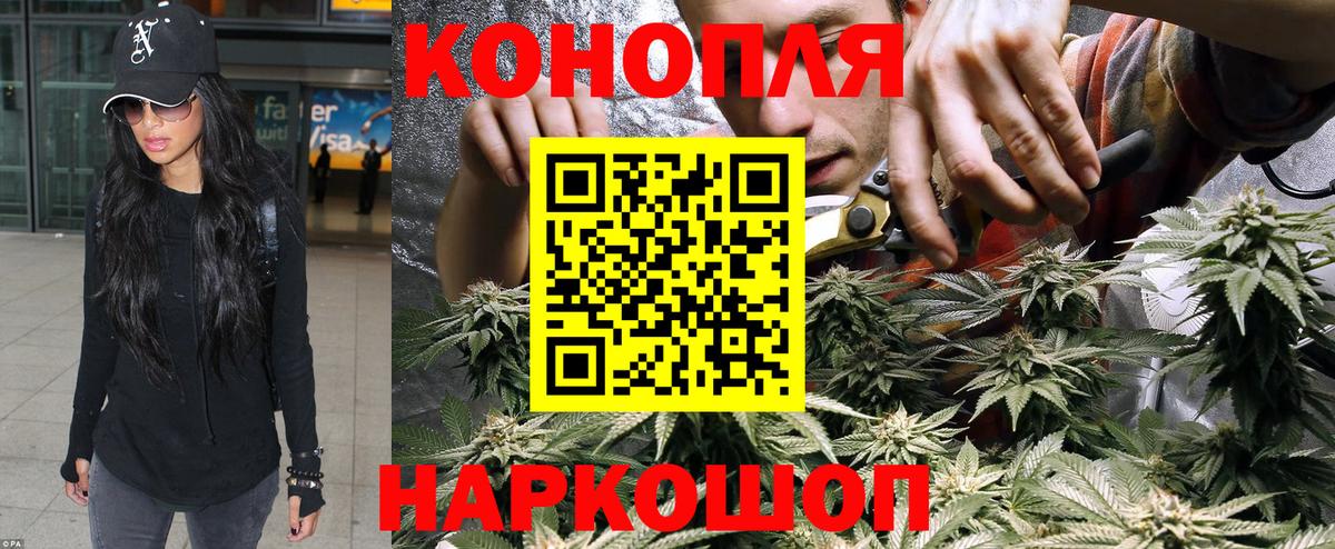 Камень-на-Оби  Канабис планчик  Конопля семена  Вход с VPN  Каннабис THC 21% 